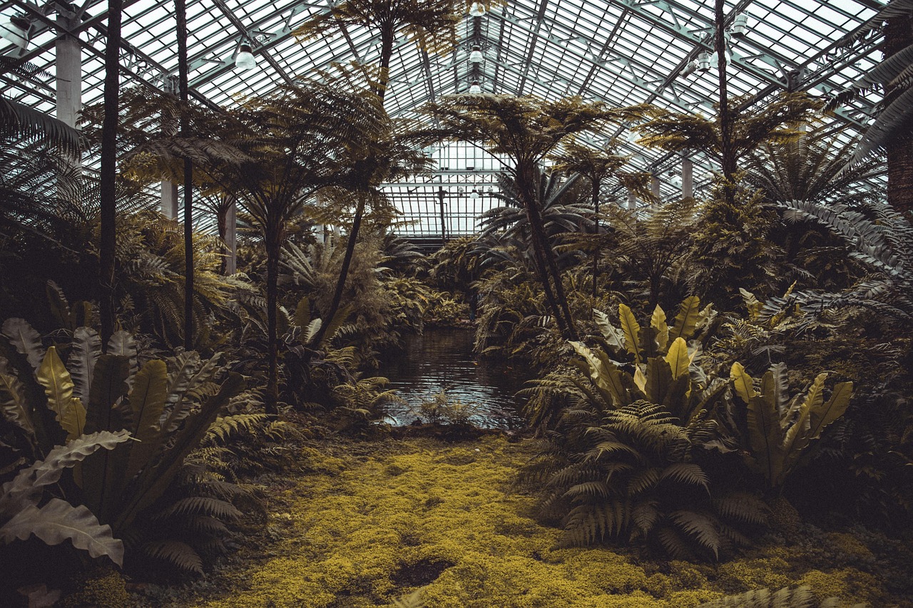 Commercial greenhouse